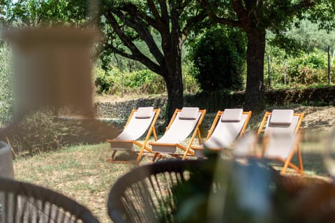 Spring, Day, Garden, Garden view