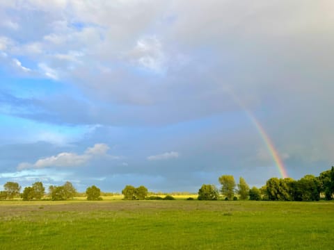 Day, Natural landscape