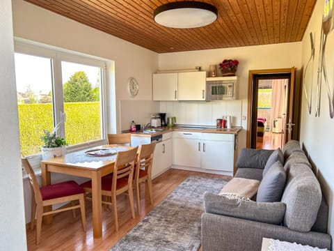 Kitchen or kitchenette, Living room, Seating area, Dining area, stove