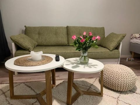 Käytännöllinen yksiö rauhallisella alueella! Apartment in Uusimaa