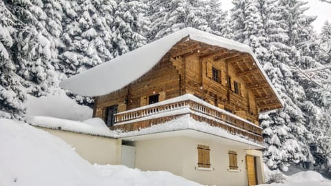 Property building, Natural landscape, Winter