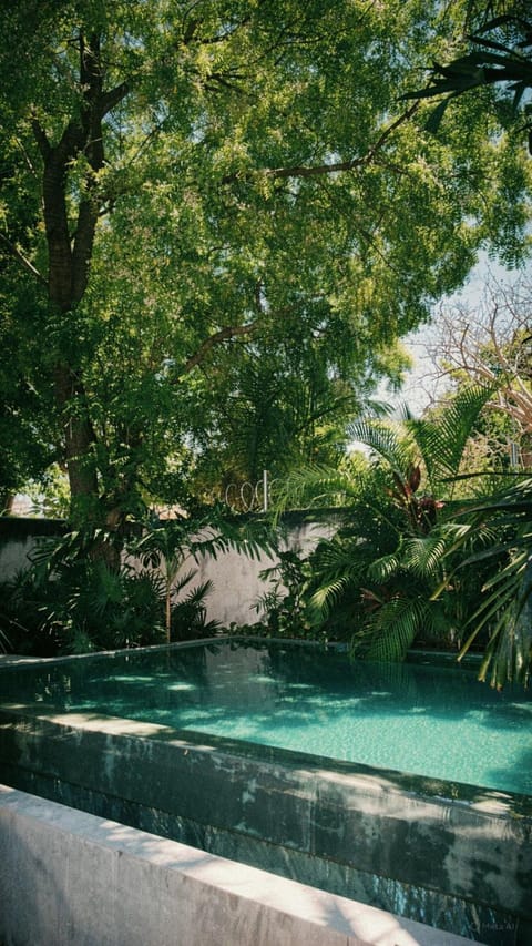 Day, Natural landscape, Pool view, Swimming pool