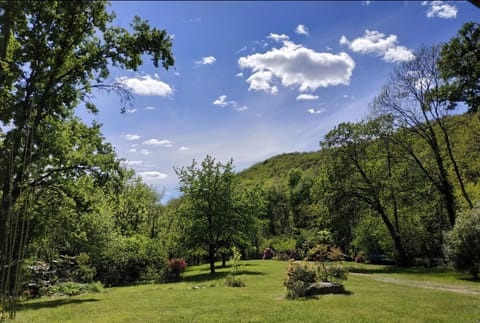 Day, Garden, Garden view