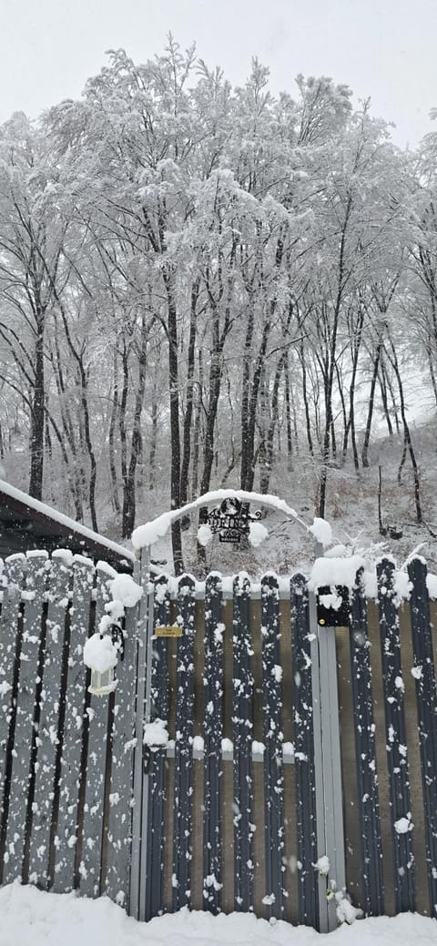 Studio Glossa House in Serbia