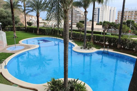 Garden, Pool view, Swimming pool