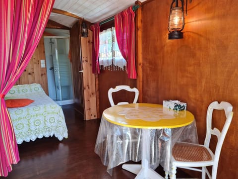 Roulotte Esméralda: Séjour insolite au cœur de la nature, climatisée, parking privé, prêt de vélos - FR-1-590-502 Bed and Breakfast in Centre-Val de Loire