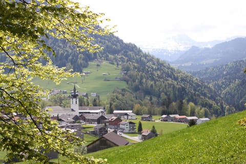 Spring, Mountain view