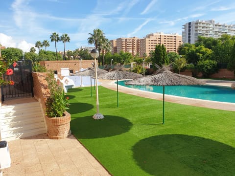 Pool view, Swimming pool