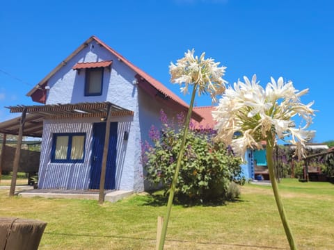 Property building, Spring, Natural landscape, Summer, Garden