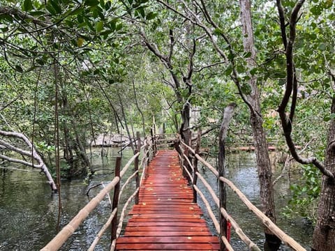Natural landscape