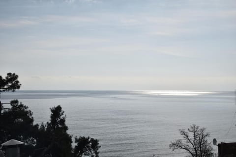 Amasing sea view apartment Apartment in Halkidiki