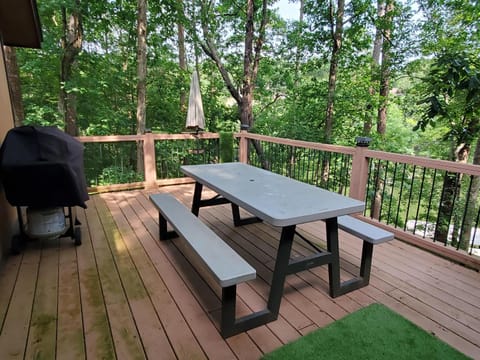 Lake Catherine Serenity Retreat House in Fenter Township