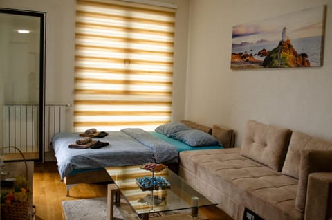 Comfort apartment Bulevar with garage Apartment in Sarajevo
