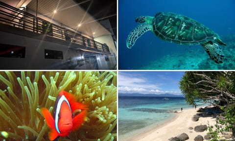 Property building, Snorkeling, Beach