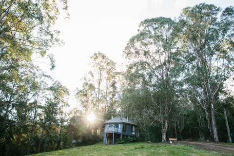 Property building, Natural landscape, Garden view
