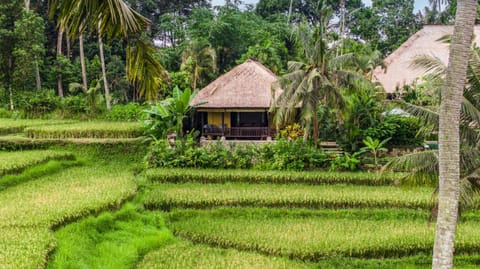 Property building, Day, Natural landscape