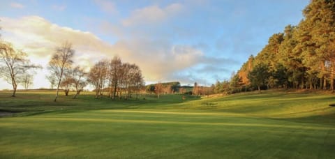 No16 The Green Apartment in England