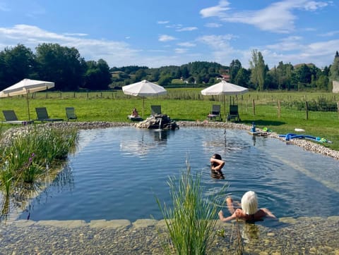 Natural landscape, Garden, Garden view, Pool view, Swimming pool, group of guests