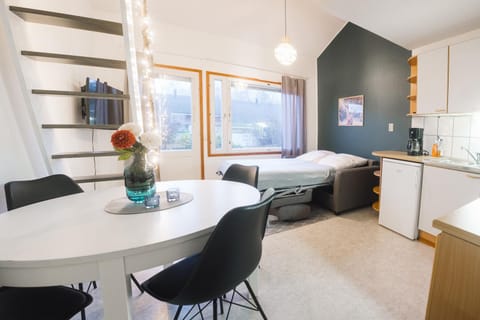 Ahkio Apartments 3 Apartment in Rovaniemi
