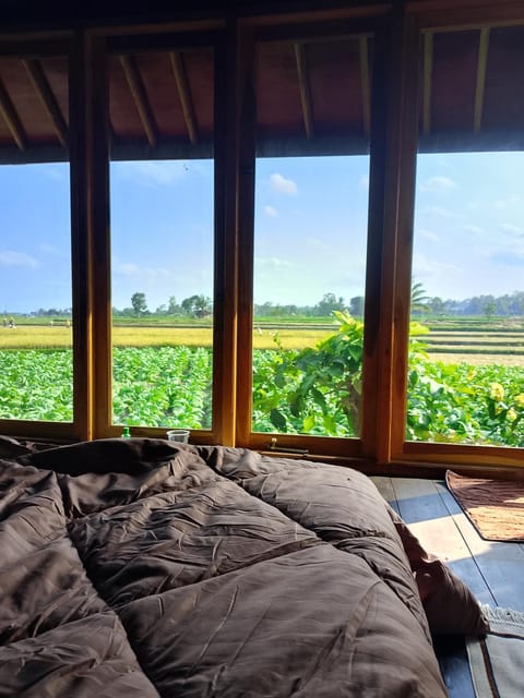 Bed, Natural landscape, Living room, Photo of the whole room, Bedroom
