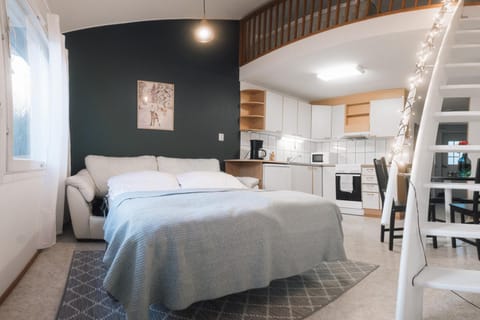 Ahkio Apartments 5 Apartment in Rovaniemi