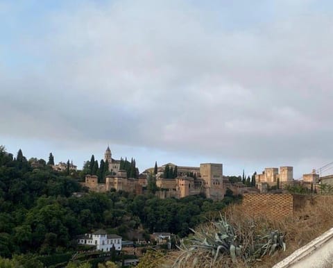 Landmark view