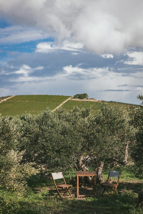 Spring, Day, Natural landscape