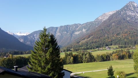 Alpencottage Bad Aussee Apartment in Bad Aussee