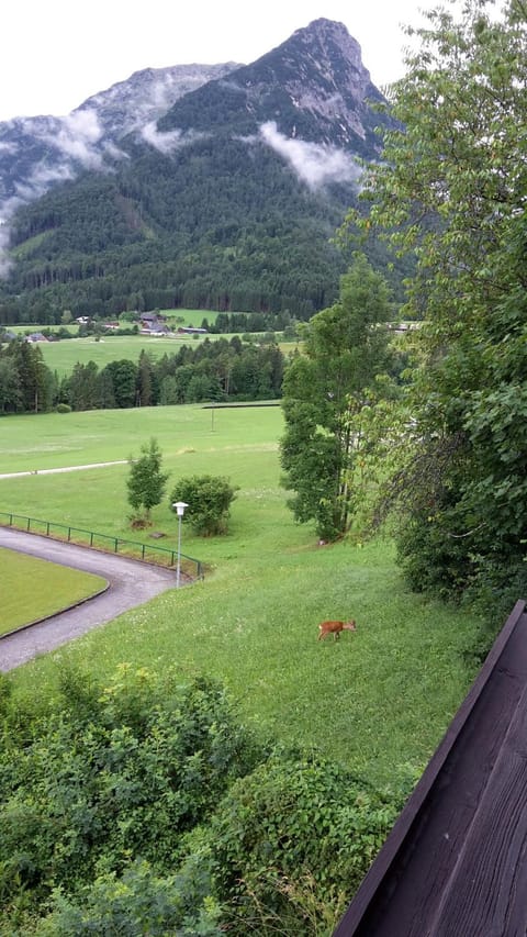 Spring, Natural landscape, Mountain view