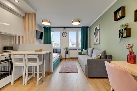 TV and multimedia, Kitchen or kitchenette, Living room, Seating area, Dining area, pet friendly, stove