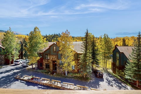 Terraces 502 Apartment in Telluride