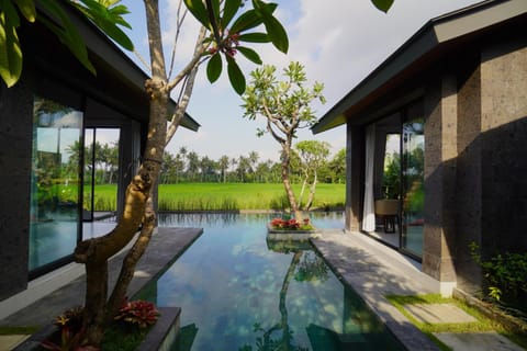 Garden view, Swimming pool, Swimming pool