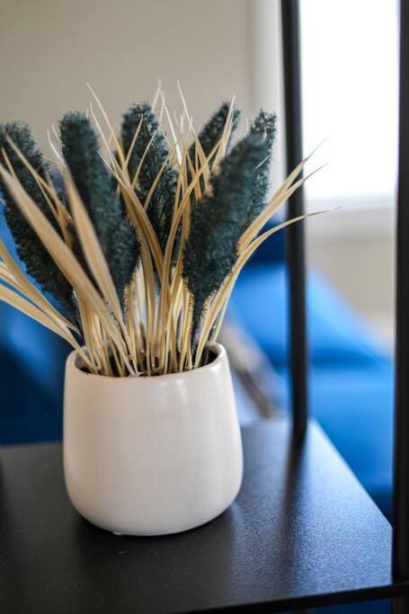 Spacious family home with playroom House in Georgetown