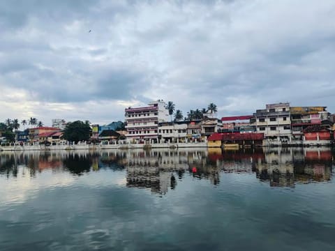Lake view