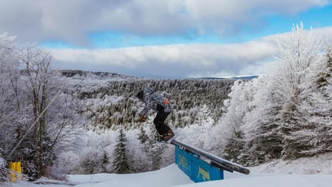 Natural landscape, Winter