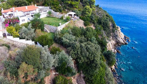 Property building, Day, Bird's eye view, Garden