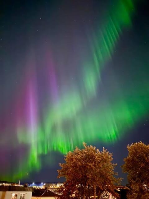 Mye for pengene, sentralt i Narvik! Apartment in Nordland, Norway