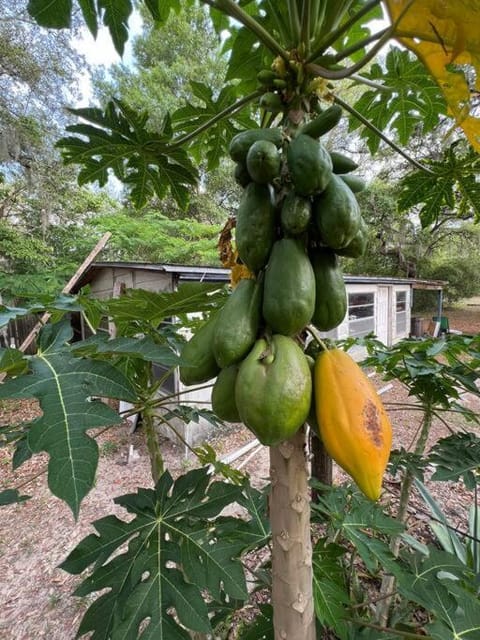 Half Moon Lake Retreat House in Florida