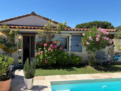 Patio, Garden, Pool view, Swimming pool, sunbed