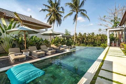 Pool view, Swimming pool, sunbed