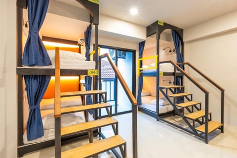 Bed, Photo of the whole room, Bedroom, bunk bed