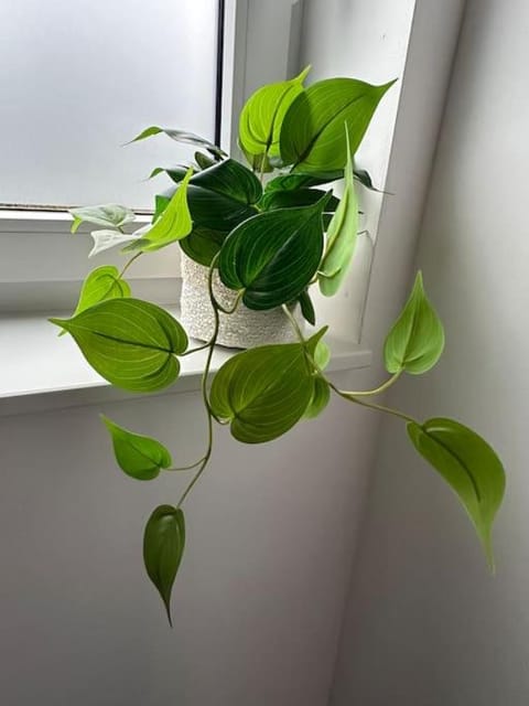 Chambre neuve 1 ou 2 personnes Apartment in Hauts-de-France