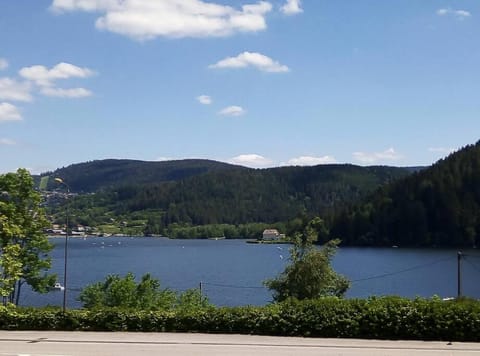Nouveau loft à moins de 100m du lac classé 2 étoiles Apartment in Gérardmer