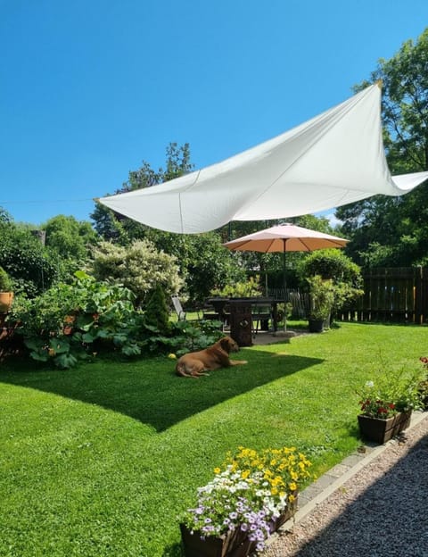 Haus am Wiesengrund Apartment in Mecklenburg-Vorpommern, Germany