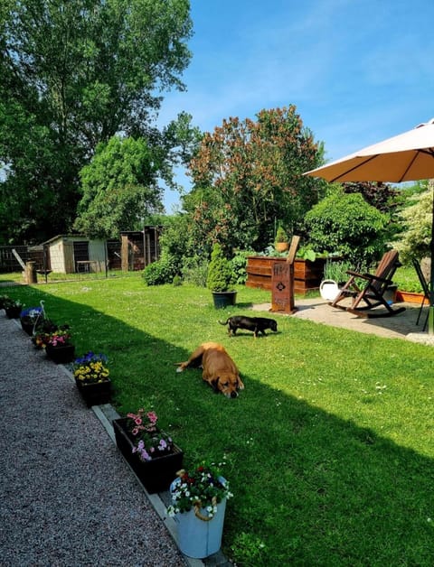 Haus am Wiesengrund Apartment in Mecklenburg-Vorpommern, Germany