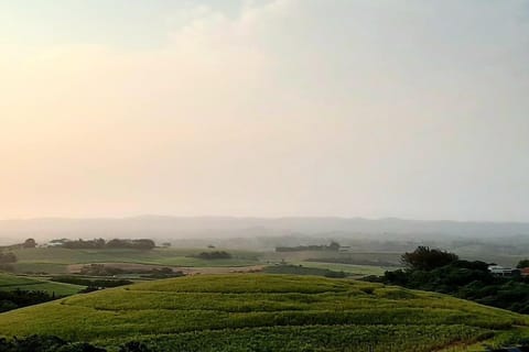 Natural landscape, View (from property/room)
