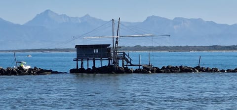 House Orilia in the green and by the sea Apartment in Marina di Pisa