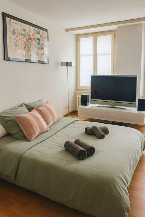 Cooles Apartment an der Kathedrale Apartment in Fribourg