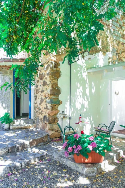 Property building, Garden, Garden view