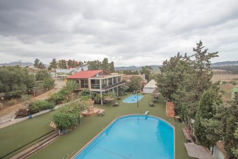 Spring, Day, Natural landscape, Garden, Garden view, Pool view, Swimming pool
